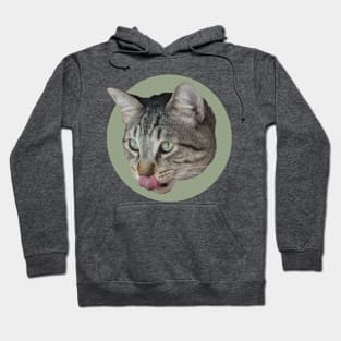 Cat 2 Hoodie